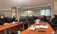برگزاری کارگاه تخصصی «کاربرد هوش مصنوعی در تولید محتوای رسانه‌ای» با هدف ارتقای مهارت کارشناسان سلامت